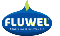 fluwel_logo